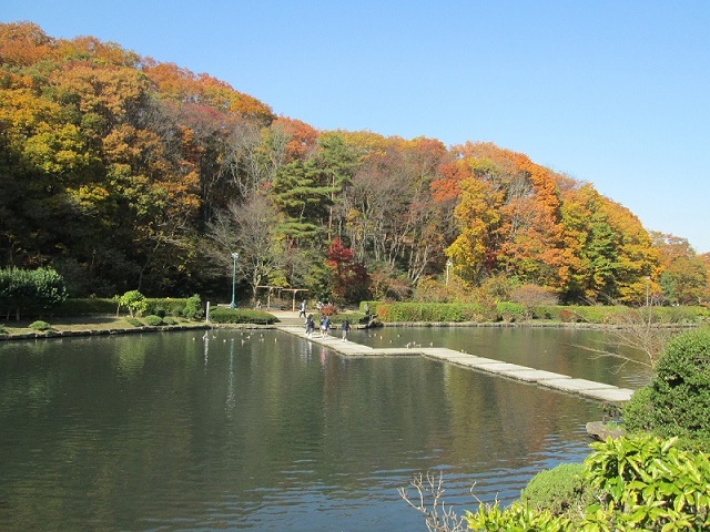 台原森林公園 │ せんだいのびすくナビ